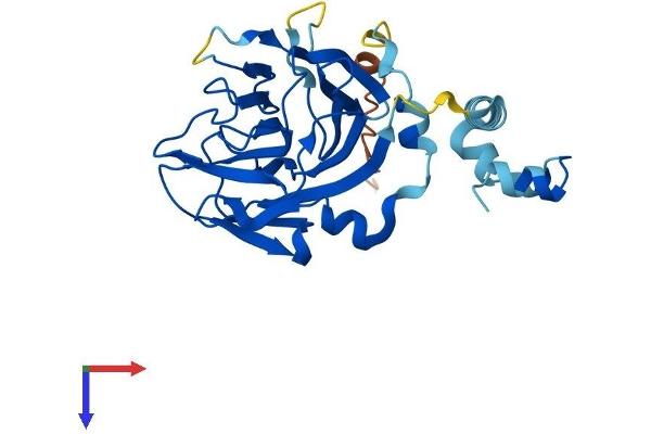 SPSB2 Protein (AA 1-264) (His tag)