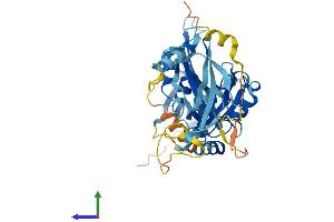 AlphaFold protein structure predicition of Human Recombinant MEIOB Protein, UniprotID Q8N635
