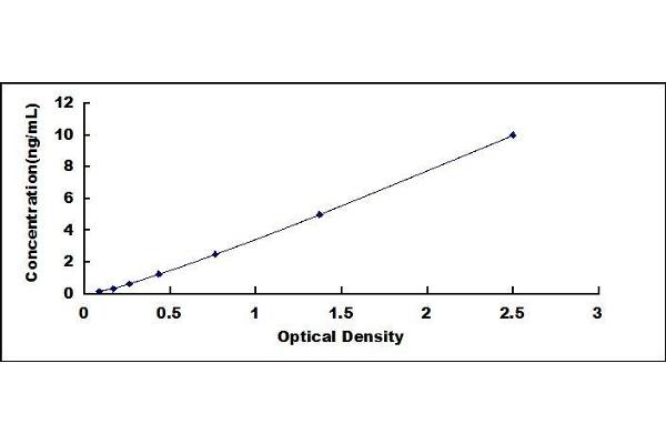 ANGPTL2 ELISA Kit