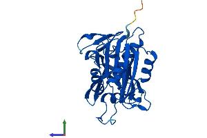 AlphaFold protein structure predicition of Human Recombinant CYB5R2 Protein, UniprotID Q6BCY4 (CYB5R2 Protein (AA 1-276) (His tag))