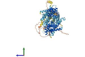 ADCY6 Protein (AA 1-1168) (His tag)