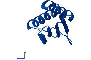 Protein Structure (PS) image for Dynein, Light Chain, LC8-Type 1 (DYNLL1) (AA 1-89) protein (His tag) (ABIN7556651)