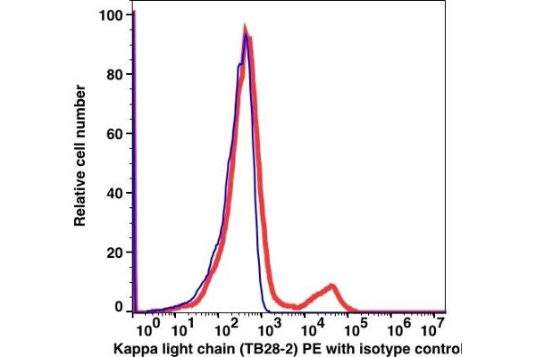 kappa Light Chain Antikörper  (PE)