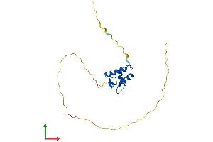AlphaFold protein structure predicition of Human Recombinant H1-0 Protein, UniprotID P07305