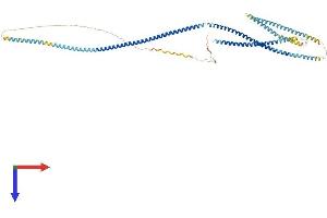 CKAP4 Protein (AA 1-602) (His tag)