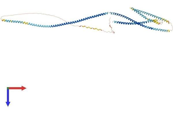 CKAP4 Protein (AA 1-602) (His tag)