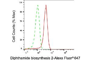 Flow cytometric analysis of Diphthamide biosynthesis 2 expression in HepG2 cells using Diphthamide biosynthesis 2 antibody (ABIN7798349), 1:1,000). (DPH2 Antikörper)