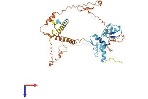 AlphaFold protein structure predicition of Human Recombinant ZNF589 Protein, UniprotID Q86UQ0