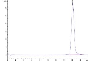 The purity of Biotinylated Human B7-H3 is greater than 95 % as determined by SEC-HPLC. (CD276 Protein (CD276) (AA 29-245) (His-Avi Tag,Biotin))