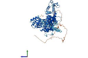 AlphaFold protein structure predicition of Mouse Recombinant Hectd2 Protein, UniprotID Q8CDU6