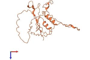 ZNF365 Protein (AA 1-216) (His tag)