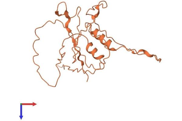 ZNF365 Protein (AA 1-216) (His tag)
