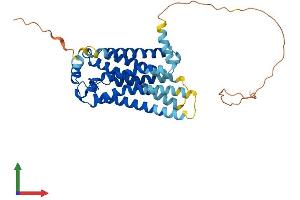 Protein Structure (PS) image for Sphingosine-1-Phosphate Receptor 3 (S1PR3) (AA 1-378) protein (His tag) (ABIN7556358)