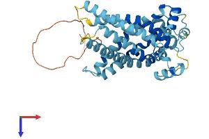 SLC25A37 Protein (AA 1-338) (His tag)
