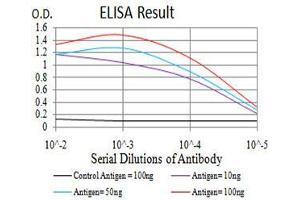 ELISA image for anti-phospholipase C, gamma 1 (PLCG1) (AA 1192-1291) antibody (ABIN5542680)