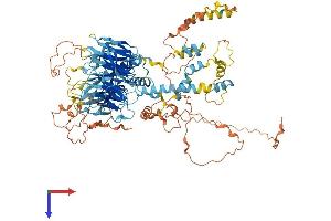 TAF1C Protein (AA 1-869) (His tag)
