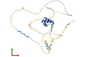 Protein Structure (PS) image for Gastrulation Brain Homeo Box 2 (GBX2) (AA 1-348) protein (His tag) (ABIN7563305)
