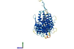 Protein Structure (PS) image for McKusick-Kaufman Syndrome (MKKS) (AA 1-570) protein (His tag) (ABIN7549397)