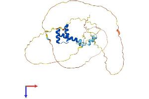 EN2 Protein (AA 1-333) (His tag)
