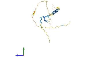 Protein Structure (PS) image for Tumor Necrosis Factor Receptor Superfamily, Member 13C (TNFRSF13C) (AA 1-184) protein (His tag) (ABIN7544767)