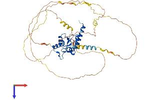 SMAP1 Protein (AA 1-440) (His tag)