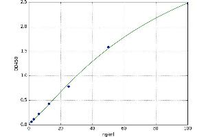 Pepsinogen 3, Group I (Pepsinogen A) (PGA3) ELISA Kit