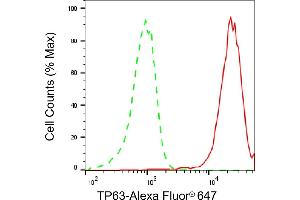 Flow cytometric analysis of TP63 expression in HaCaT cells using TP63 antibody (ABIN7800693), 1:2,000). (p63 Antikörper)