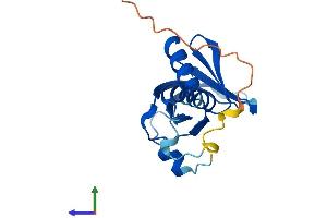 Protein Structure (PS) image for Pleckstrin Homology Domain Containing, Family J Member 1 (PLEKHJ1) (AA 1-164) protein (His tag) (ABIN7560898)