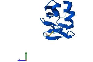 Protein Structure (PS) image for Molybdenum Cofactor Synthesis 2 (MOCS2) (AA 1-88) protein (Fc Tag) (ABIN7556406)