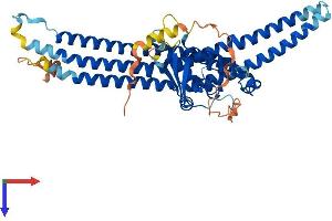 SNX8 Protein (AA 1-465) (His tag)