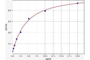 NKX2-1 ELISA Kit