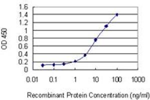 Detection limit for recombinant GST tagged AXIN2 is 0. (AXIN2 Antikörper  (AA 611-710))