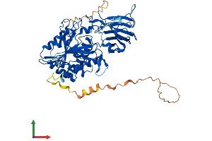 AlphaFold protein structure predicition of Human Recombinant AGBL4 Protein, UniprotID Q5VU57