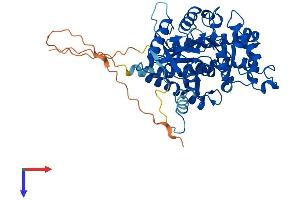 PHACS Protein (AA 1-502) (His tag)