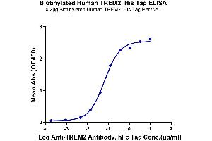 ELISA image for Triggering Receptor Expressed On Myeloid Cells 2 (TREM2) (AA 19-174) protein (His-Avi Tag,Biotin) (ABIN7275790)