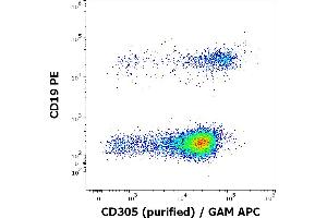 Flow cytometry multicolor surface staining of human lymphocytes stained using anti-human CD305 (NKTA255) purified antibody (concentration in sample 2 μg/mL, GAM APC) and anti-human CD19 (LT19) PE antibody (20 μL reagent / 100 μL of peripheral whole blood). (LAIR1 Antikörper)