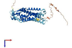 Purinergic Receptor P2Y, G-Protein Coupled, 11 (P2RY11) (AA 1-374) protein (His tag)