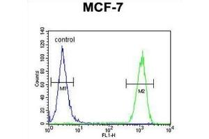 Flow Cytometry (FACS) image for anti-Cyclin T1 (CCNT1) antibody (ABIN2995766) (Cyclin T1 Antikörper)