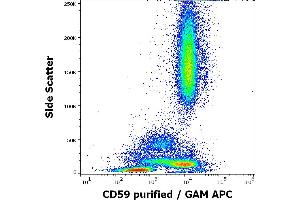Flow cytometry surface staining pattern of human peripheral blood stained using anti-human CD59 (MEM-43/5) purified antibody (concentration in sample 0. (CD59 Antikörper)