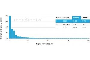 Protein Array (PAr) image for anti-Membrane Metallo-Endopeptidase (MME) (AA 297-483) antibody (ABIN6940064)