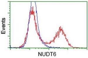 HEK293T cells transfected with either RC203470 overexpress plasmid (Red) or empty vector control plasmid (Blue) were immunostained by anti-NUDT6 antibody (ABIN2454221), and then analyzed by flow cytometry. (NUDT6 Antikörper)