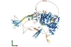 Protein Structure (PS) image for DEAH (Asp-Glu-Ala-His) Box Polypeptide 29 (DHX29) (AA 1-1369) protein (His tag) (ABIN7553705)