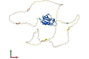Protein Structure (PS) image for Interferon Regulatory Factor 2 (IRF2) (AA 1-349) protein (His tag) (ABIN7562990)