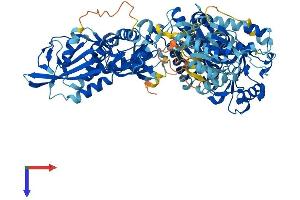 SLFN5 Protein (AA 1-884) (His tag)