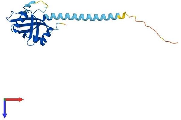 CBFB Protein (AA 1-187) (His tag)