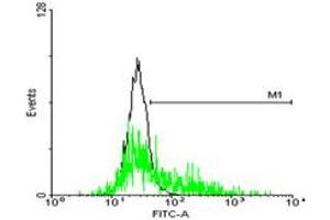 FACS analysis of negative control 293 cells (Black) and GPR143 expressing 293 cells (Green) using GPR143 purified MaxPab mouse polyclonal antibody. (GPR143 Antikörper  (AA 1-424))
