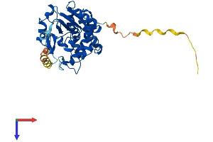 SULT2B1 Protein (AA 1-338) (His tag)