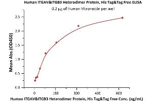 ELISA image for Integrin alpha V, Integrin beta 3 (ITGAV/ITGB3) (AA 31-992) (Active) protein (His tag) (ABIN2870663)