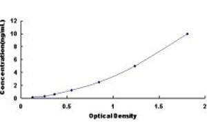 Typical standard curve (ALDH9A1 ELISA Kit)