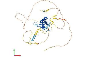 Protein Structure (PS) image for Forkhead Box E1 (Thyroid Transcription Factor 2) (FOXE1) (AA 1-373) protein (His tag) (ABIN7547779)